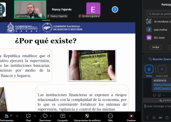 CNBS da a conocer sus funciones y herramientas de educación financiera en webinar dirigido a jóvenes
